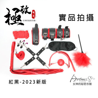 實拍 SM 經典黑皮革10+1件套組 SM性虐 大全配 性虐 情趣用品 情趣精品 台灣現貨寄出 經典標準版