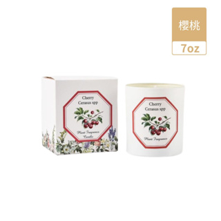 【Plant Fragrance 植物大學】植物香薰手工香氛蠟燭 7oz - 櫻桃 Cherry