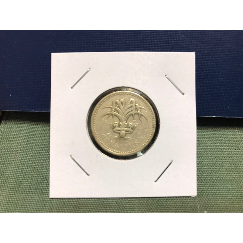 英國🇬🇧硬幣-1985年「蘇格蘭🏴󠁧󠁢󠁳󠁣󠁴󠁿-WEISH LEEK-韭菜」流通紀念幣