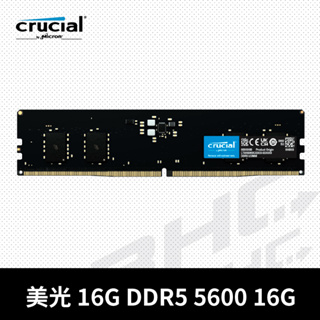 美光 DDR5 5600 16G 桌上型記憶體