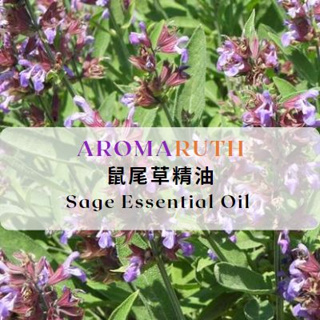 AROMARUTH鼠尾草精油 Sage Essential Oil