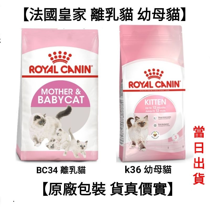 【安萌寵物】2kg/4kg法國皇家 皇家 k36 幼母貓 幼貓 BC34 離乳貓 貓飼料 飼料 貓糧