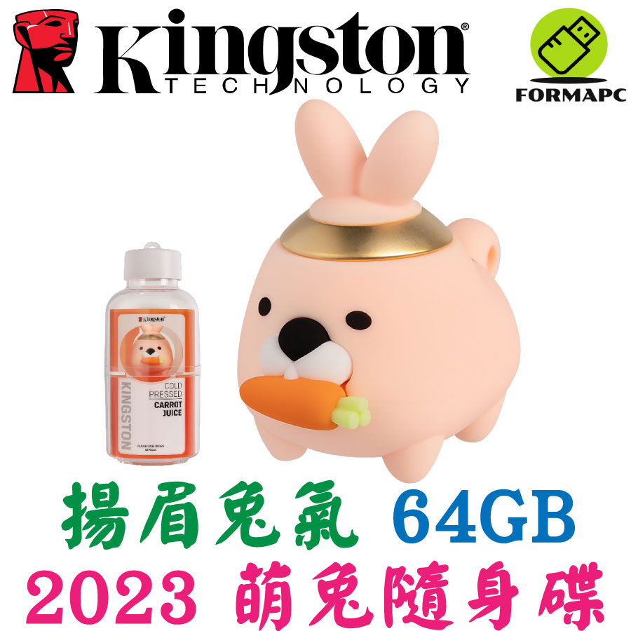 Kingston 金士頓 64G 64GB 2023年 萌兔隨身碟 兔子造型碟 USB3.2 兔年生肖碟 DTCNY23