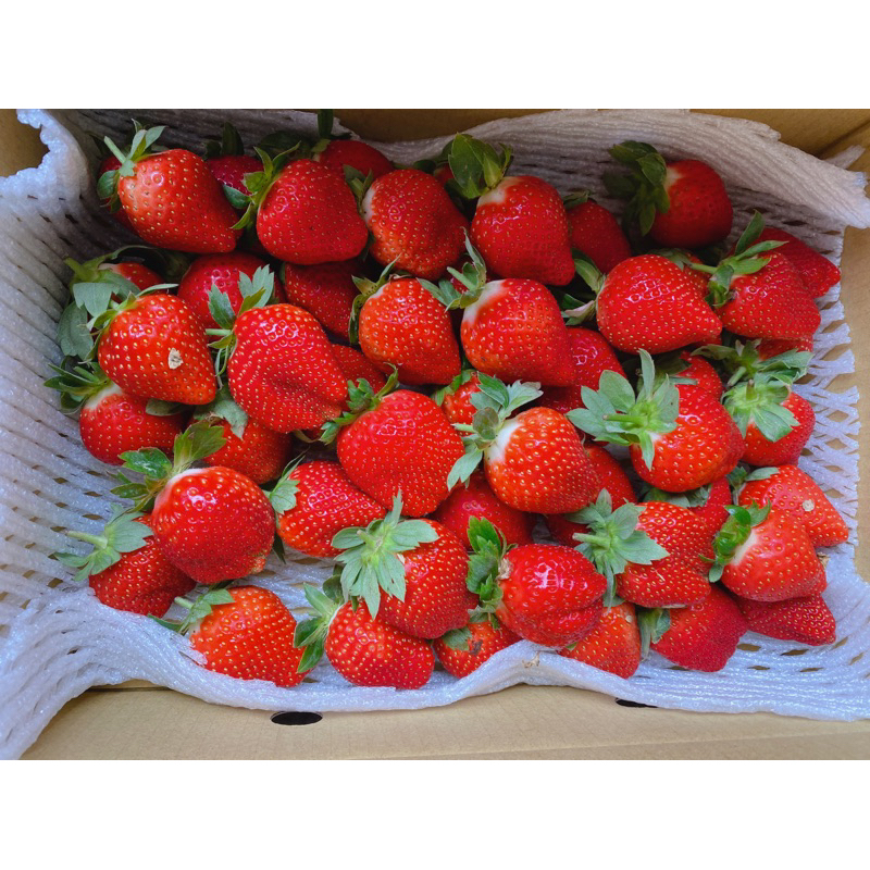 大湖草莓🍓 自產自銷 新鮮現採 （2-3盒下單區）
