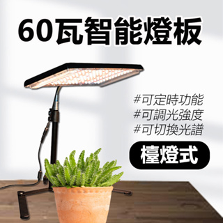 【君沛植物燈】LED植物燈 60W檯燈式桌上型智能植物燈板 量子板植物燈 可調光/可定時/可切換光譜