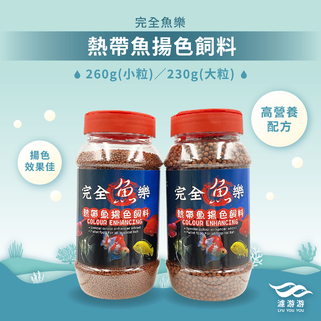 【完全魚樂】熱帶魚揚色飼料(大／小粒) 金魚│慈鯛