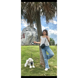 滿版鏤空精緻蕾絲短袖白上衣-好穿百搭-二手衣-衣況良好-S-M可穿