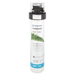 進來聊聊【Norit諾得淨水器】(全省免費安裝)BW-100A 廚下生飲系統 專利活性碳和多層複濾膜