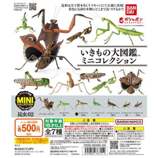🔥現貨 生物大圖鑑 昆蟲篇 02 P2 螳螂 蟋蟀 扭蛋 公仔 模型