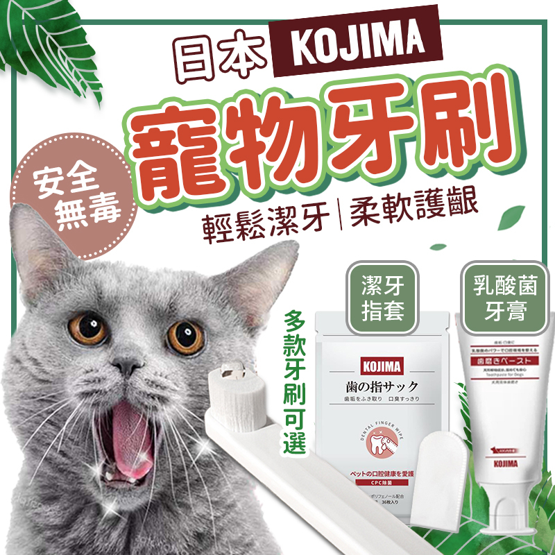 【拚🔥最低價】日本 KOJIMA寵物牙刷 貓用牙刷 狗狗牙刷 360度寵物牙刷 貓咪牙膏 寵物萬毛牙刷 犬用牙刷牙膏