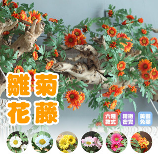 【現貨】雛菊 藤蔓 仿真植物 模擬藤條 綠葉 壁掛 裝飾 植物 花藤 仿真花 居家裝飾 裝飾 掛飾 綠植擺設 婚禮佈置