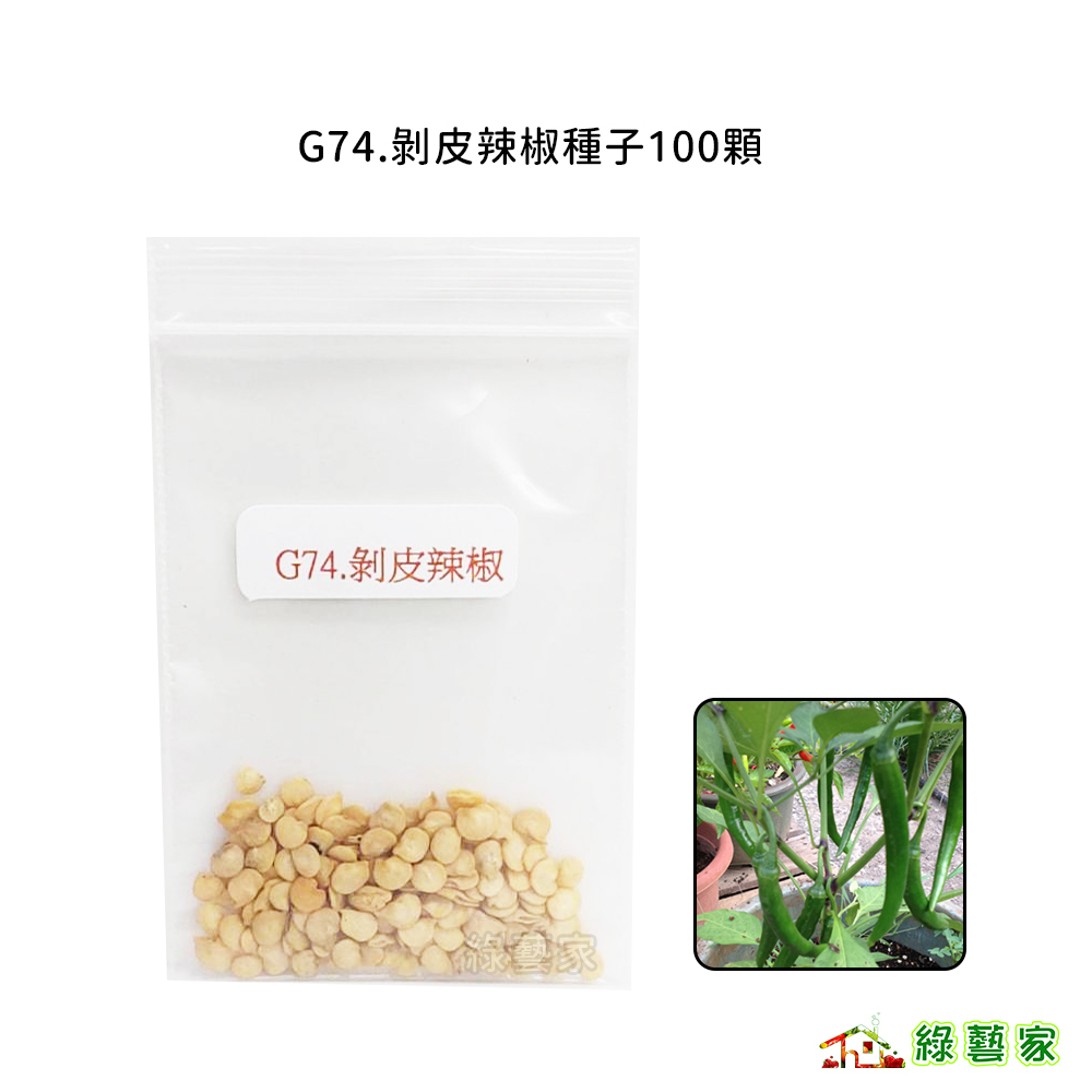 G74.剝皮辣椒種子100顆(小辣，適用於醃漬,製作剝皮辣椒)果菜類種子【綠藝家】