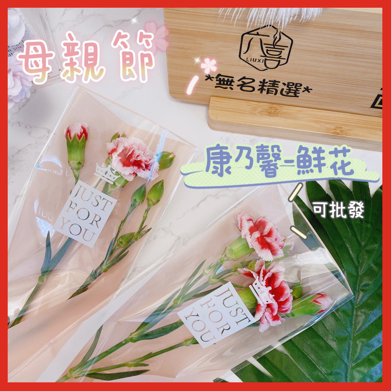 現貨🔺可批發 鮮花康乃馨｜高級雙色花 精緻包裝 漸層 真花 康乃馨花束 母親節 康乃馨 花束 母親節活動 批發價