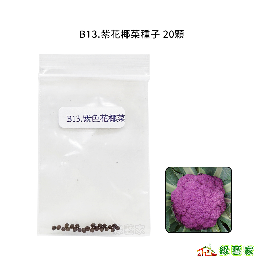 B13.紫花椰菜種子20顆結球類及花菜類種子【綠藝家】