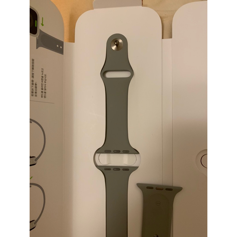 Apple Watch 5 原廠鈦金屬限定色運動錶帶(light gray)