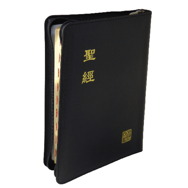 【中文聖經新標點和合本】上帝版 中型 拇指索引 黑色皮面金邊 CUNP67ZTI