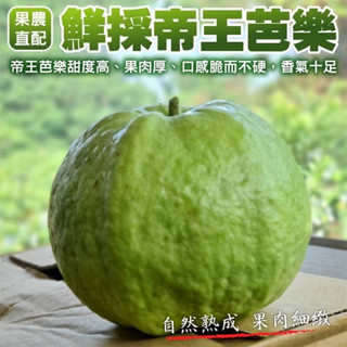 嚴選臺灣帝王芭樂 0運費【果農直配】臺灣芭樂 白芭樂 土芭樂