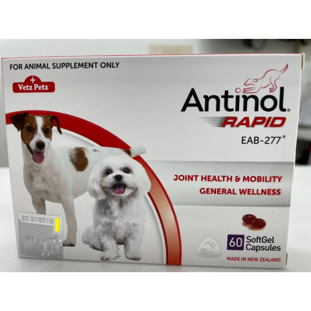 【養喵人家】安適得® 酷版 Antinol® Rapid (60粒/盒) 貓/狗 ※雷射防偽標籤 ※免運