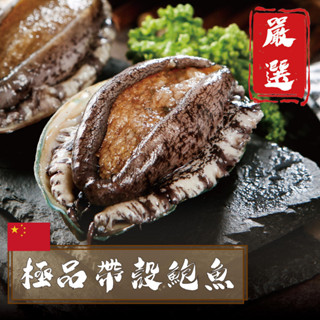 594購購配-極品帶殼熟凍鮑魚24P