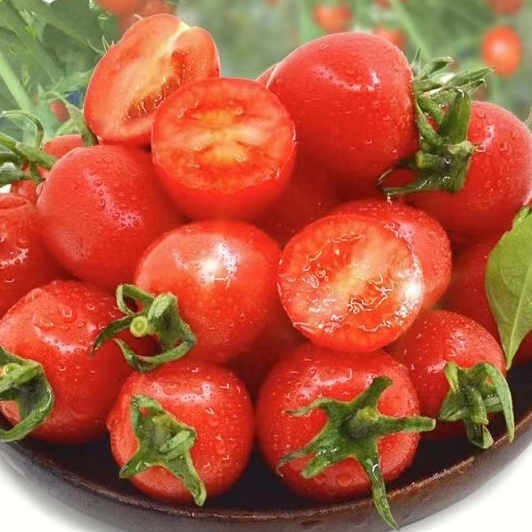 四季水果種子  櫻桃番茄 種子 番茄蔬菜水果   櫻桃小番茄    陽臺盆栽農家四季可種 簡單易活