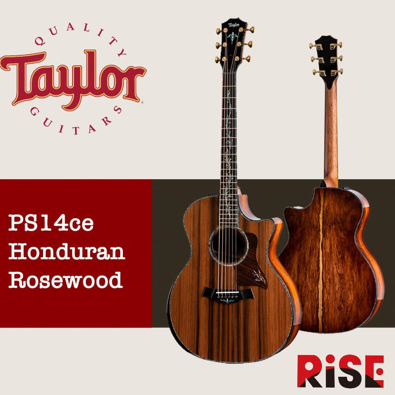 Taylor PS14ce Honduran Rosewood 沈水紅木面板 全單板 木吉他【又昇樂器.音響】