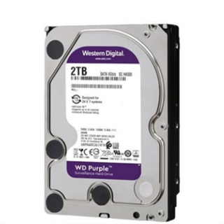 WD 紫標 2TB 2T 3.5吋 監控硬碟 (WD22PURZ) PURZ