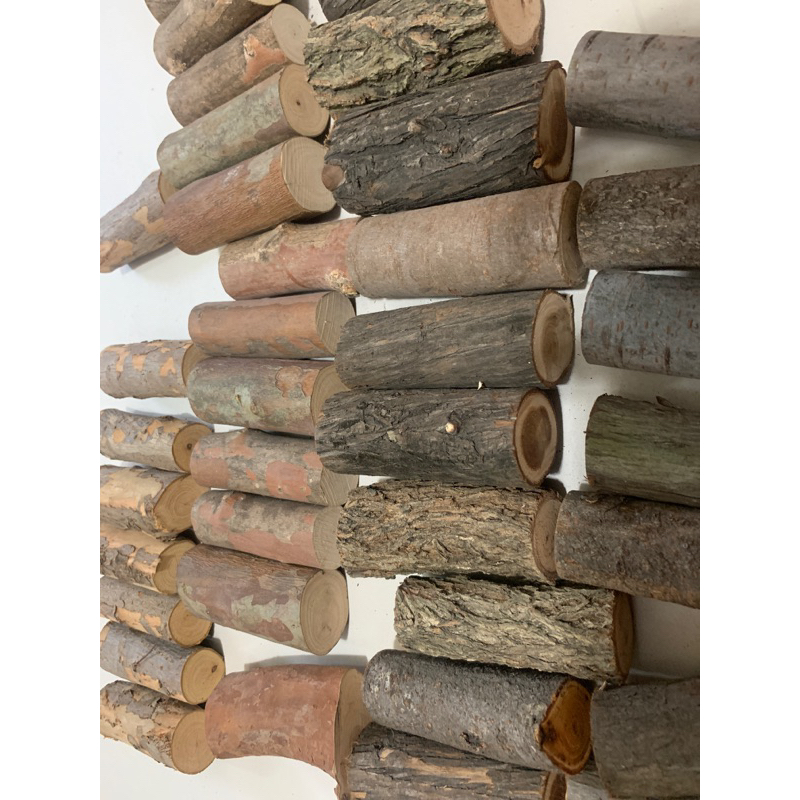《《泰懶天然木塊、木條》》（滿百才出貨，03/14號更新）櫸木  九芎 木棍 壁爐裝飾 木柴 木材 樹樁 圍欄 拍照道具
