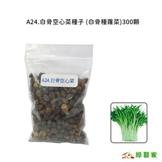 A24.白骨空心菜種子(白骨種蕹菜)300顆 葉片寬口感軟.寬短.綠色葉.莖骨白色.莖骨不長刺.耐熱葉菜類【綠藝家】