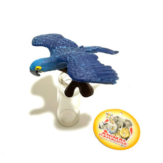 藍金剛鸚鵡 模型 公仔 動物模型 animal paradise 鸚鵡 鳥類 扭蛋 盒玩