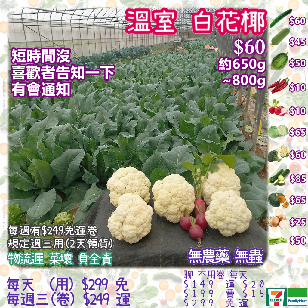 小農溫室白花椰菜約700g 1顆 60 暫時沒 無農藥農法白花椰菜非冷凍白花椰菜花椰菜米可參考 蝦皮購物