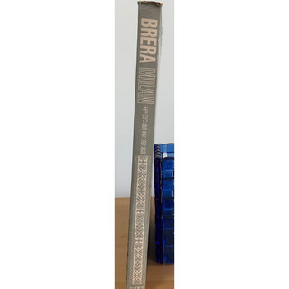 世界美術館 佈列拉 brera二手書 美術書 精裝本 設計 藝術