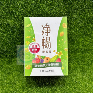 【特惠】現貨！大漢酵素 淨暢酵素錠 90粒/瓶 20錠/盒 升級配方 全素 期限2028/02㊣阿寶㊣