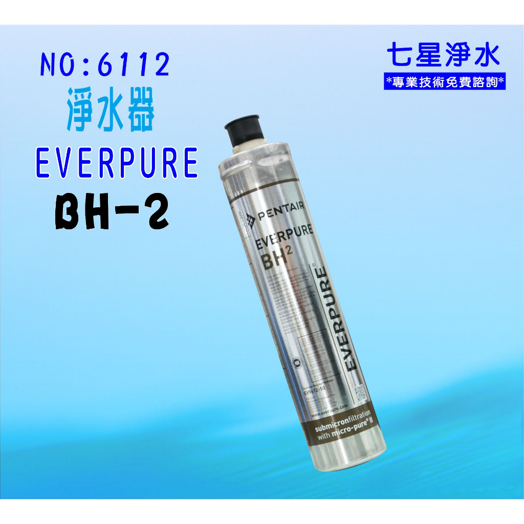 【七星淨水】BH2過濾器Everpure淨水器.另售S100、S104、H104、4C、4DC、H100.貨號6112