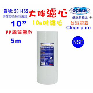 10英吋大胖5m PP綿質NSF濾心臺灣製造Clean pure濾心餐飲濾水器地下水全戶淨水器貨號501465