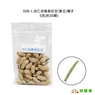 白仁白格長豇豆(東立)種子5克(約35顆)//種子白色，豆莢白色微綠豆類種子【綠藝家】
