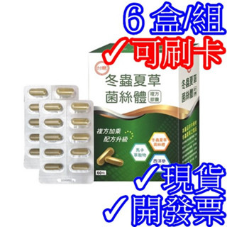 ✓臺糖冬蟲夏草菌絲體複方膠囊60粒*6盒/組✓新包裝效期2026年5月✓尼克桑の臺糖嚴選✓冬蟲 蟲草 菌絲體 蟲草菌絲體