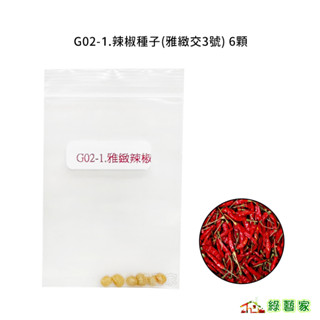 G02-1.辣椒種子6顆(雅緻交3號)(F1，極辣長辣椒雅緻(交3號)每株可結154果以上)果菜類種子【綠藝家】