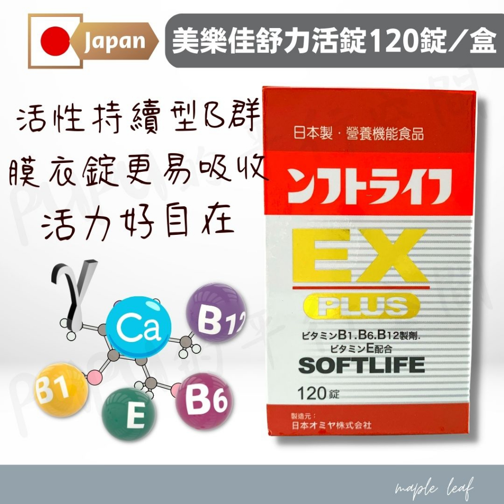 日本【活力B群 EX PLUS加強錠(120錠) 】維生素B群 小顆好吞 方便快速 日本原裝 PUPU
