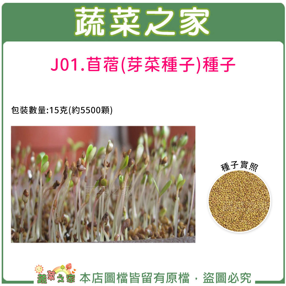 【蔬菜之家滿額免運】J01.苜蓿芽種子15克(約5500顆)(芽菜種子)芽菜類種子