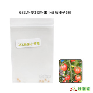 G83.粉愛2號粉果小番茄種子6顆(F1,不停心型,果實具光澤,短橢圓形,果長約3.5公分,果寬約3公分)【綠藝家】
