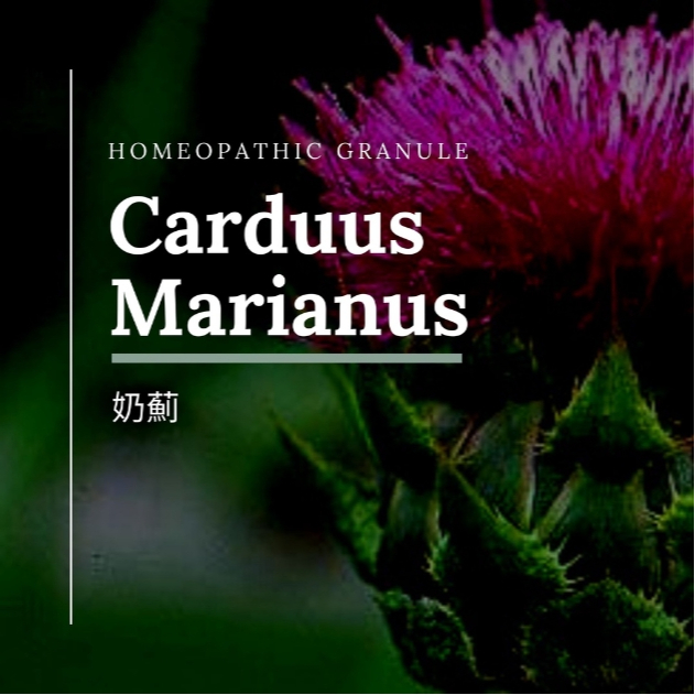 順勢糖球【Carduus Marianus】Homeopathic Granule（又憤怒又憂鬱／支持利扶）