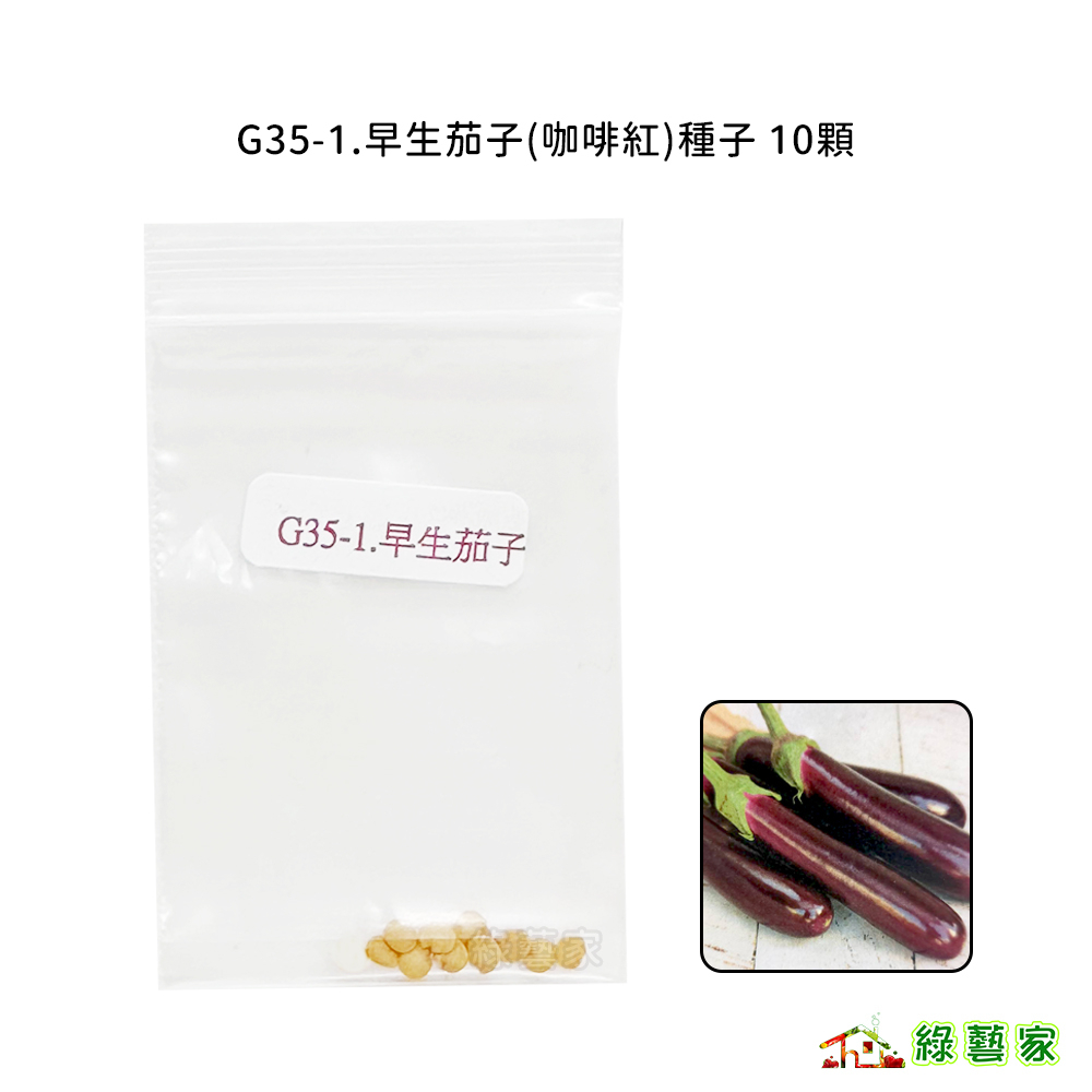 G35-1.早生茄子(咖啡紅)種子10顆//早生，綠色萼，果色咖啡紅、光澤度好；果型呈短粗棒 形；肉色微淺綠【綠藝家】