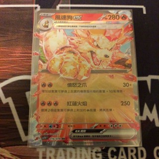 [寶可夢 TCG] 中文卡牌 風速狗 暴鯉龍 咚咚鼠ex 太晶