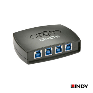 LINDY 林帝 USB 3.2 4埠切換器 (43144)