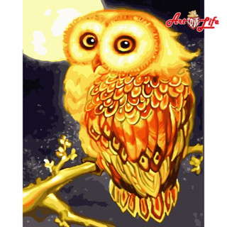 【ArtLife 藝術生活】9V002貓頭鷹-炫金款 40x50cm含框 DIY 數字油畫 彩繪 全館現貨