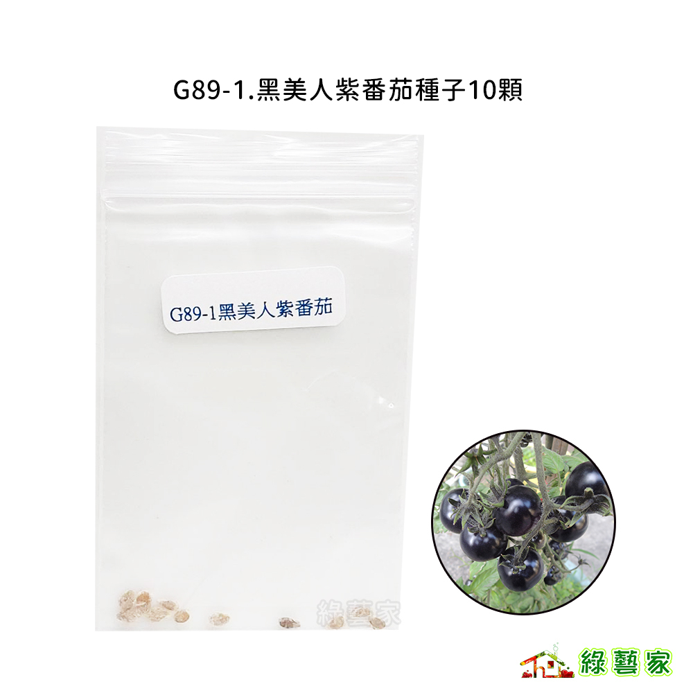 G89-1.黑美人紫番茄種子10顆 // 果實顏色獨特。定植後約75天可採收果菜類種子【綠藝家】