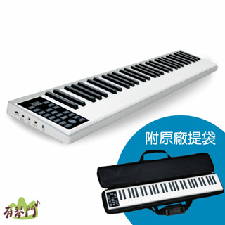 【保固一年】公司貨 61鍵 電子琴 攜帶式電子琴 鍵盤 電鋼琴 數位鋼琴 非手捲琴 PZ61 PZ-61