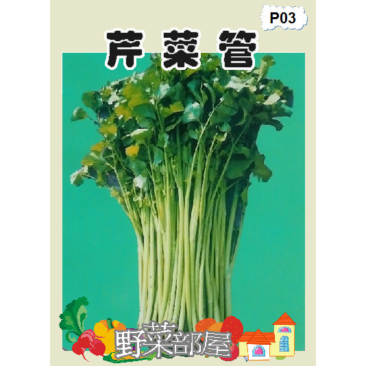 【萌田種子~蔬菜種子】P03 芹菜管種子300公克 , 又稱~粗管芹菜 , 每包460元~