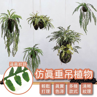 海棠 鹿角蕨 垂吊植物 模擬垂吊植物 仿真植物 模擬盆栽 居家裝飾 室外植栽 室內植栽 盆栽 蕨類 觀葉 植物 大型盆栽