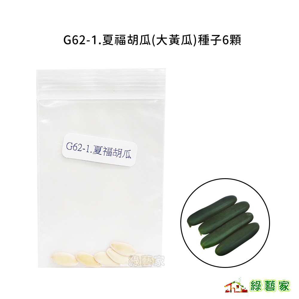 G62-1.夏福胡瓜(大黃瓜)種子6顆//生長勢強，節間短，雌花發生早，收成早。果型整型度高；皮色濃綠果菜類【綠藝家】